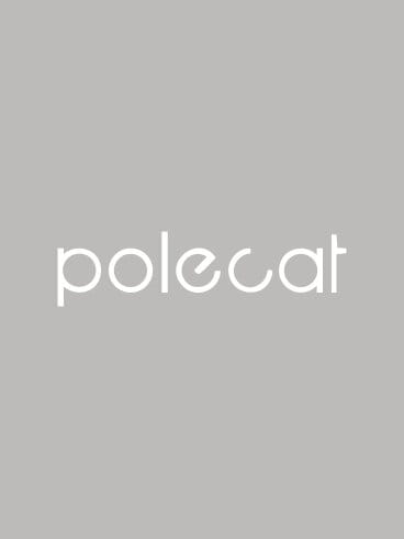 https://scorettoutlet.se/pub_docs/files/Mall_b-puffar_varumarken_polecat.jpg