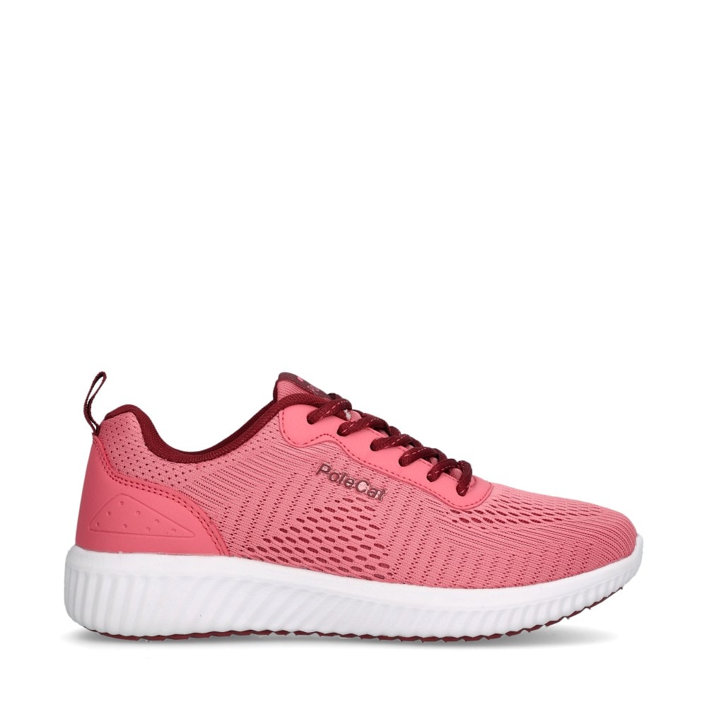 Credo Iowa Sneakers