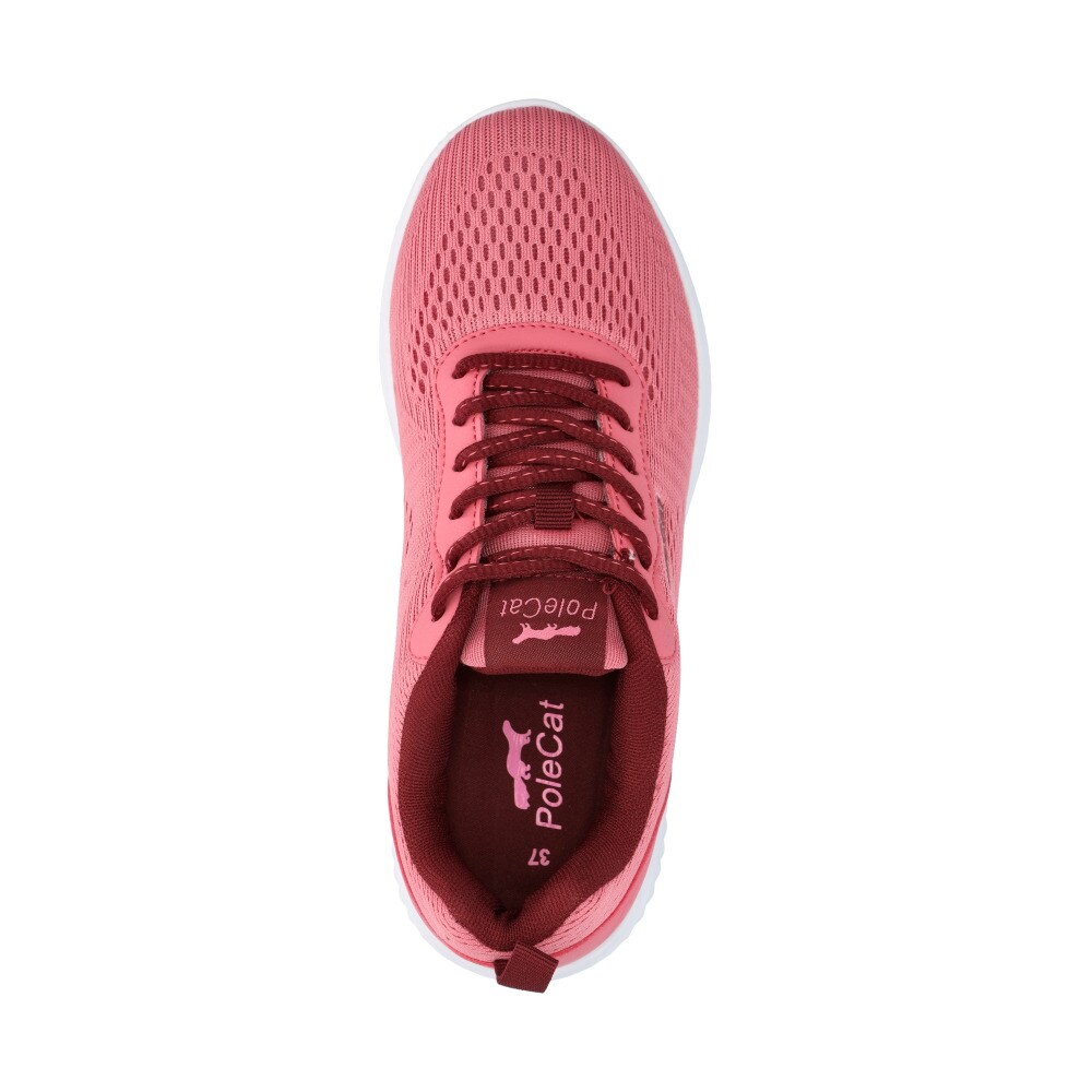 Credo Iowa Sneakers